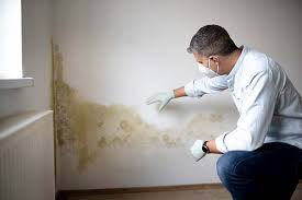 Best Mold Prevention Services  in Tuckerton, NJ